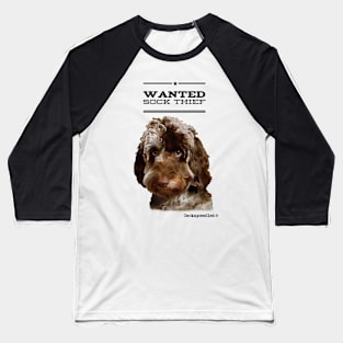 Cockapoo / Doodle Dog Sock Thief Baseball T-Shirt